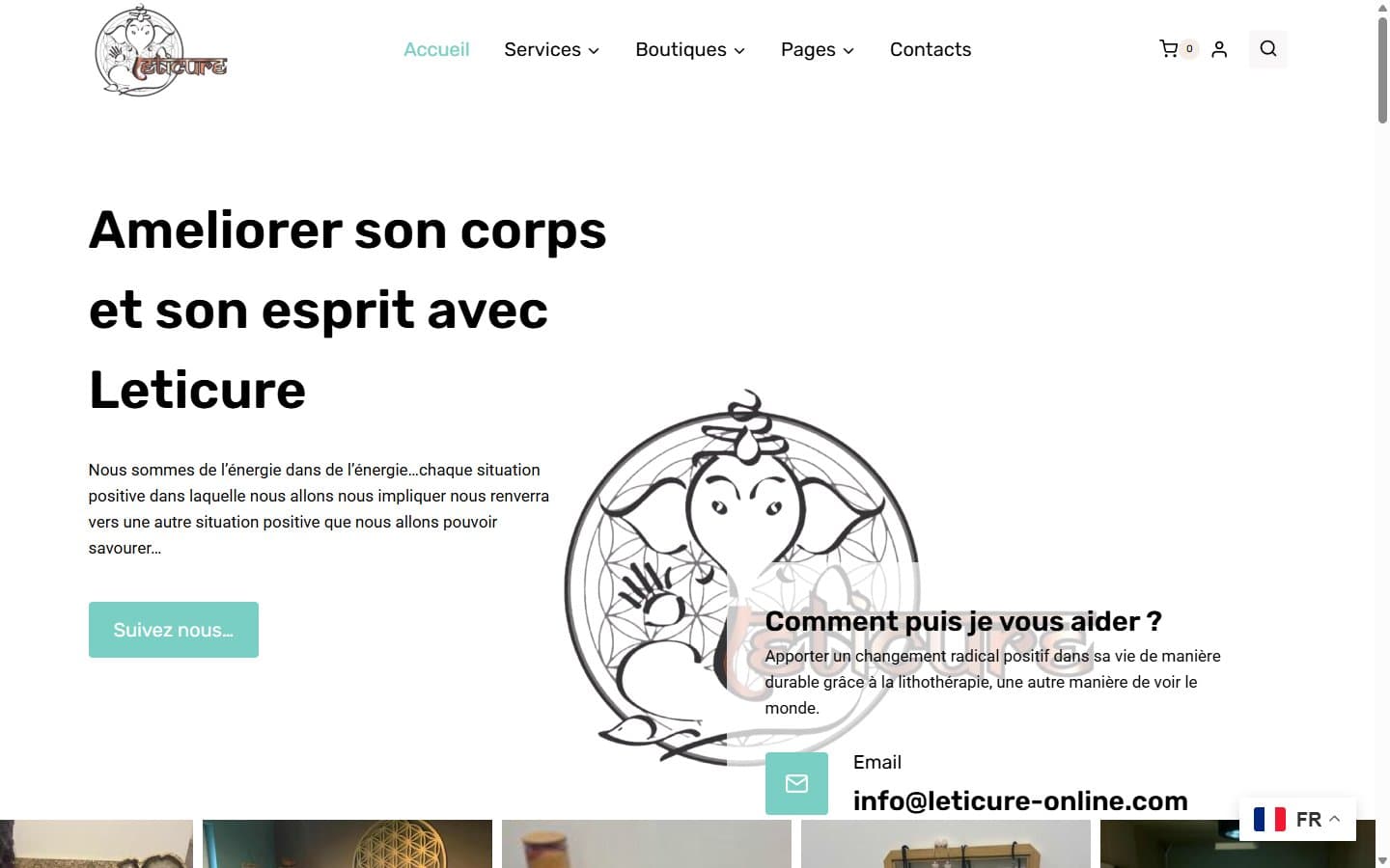 Site Leticure Online